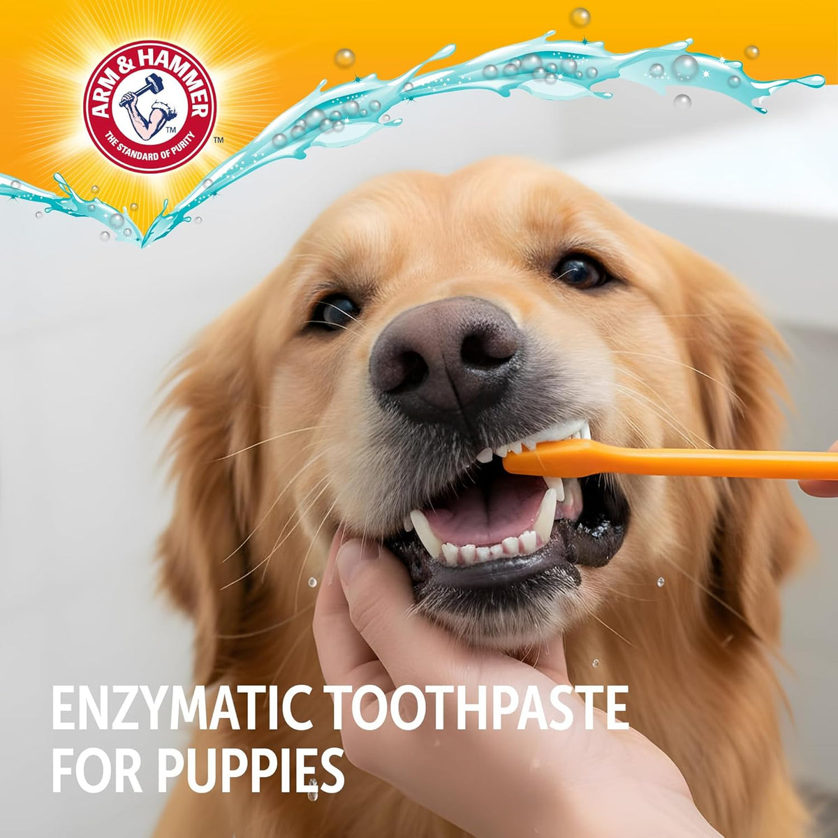 Soft microfiber finger brush for puppy dental training