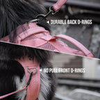 Stainless steel front no pull D ring on OneTigris medium dog vest