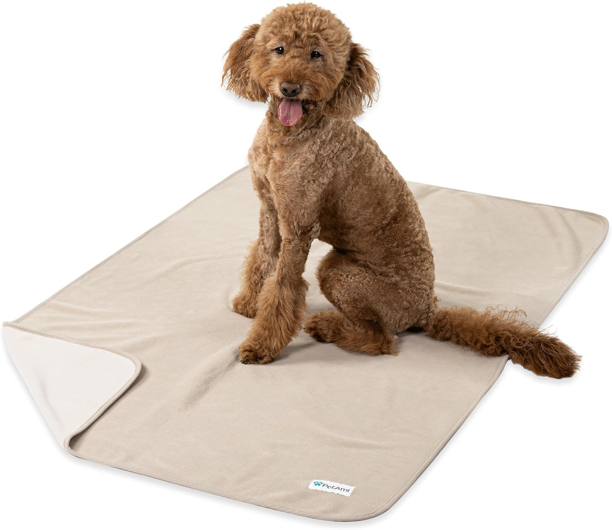 PetAmi Waterproof Dog Blanket for Small Medium Dogs Cats, Pee Proof Reversible Cat Blanket for Kitten Puppy, Soft Fleece Washable Pet Throw for Couch Car Crate Liner, 29x40 Taupe Beige - Image 10