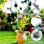 Generic dragonfly insect repellent pack of four arranged on a natural garden background