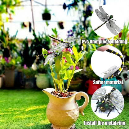 Generic dragonfly insect repellent pack of four arranged on a natural garden background
