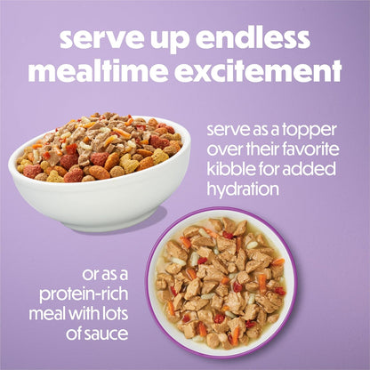Imported USA pet food variety pack for adult dogs savory sauce