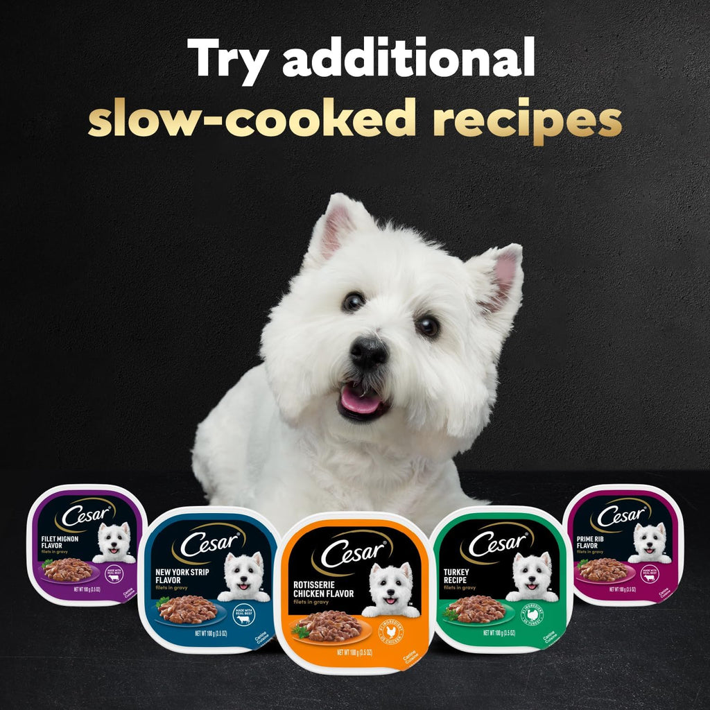 Cesar slow cooked gourmet steak mix dog food trays
