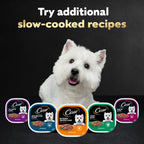 Cesar slow cooked gourmet steak mix dog food trays