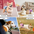 Packaging of three piece reusable canine nappies for incontinence and heat