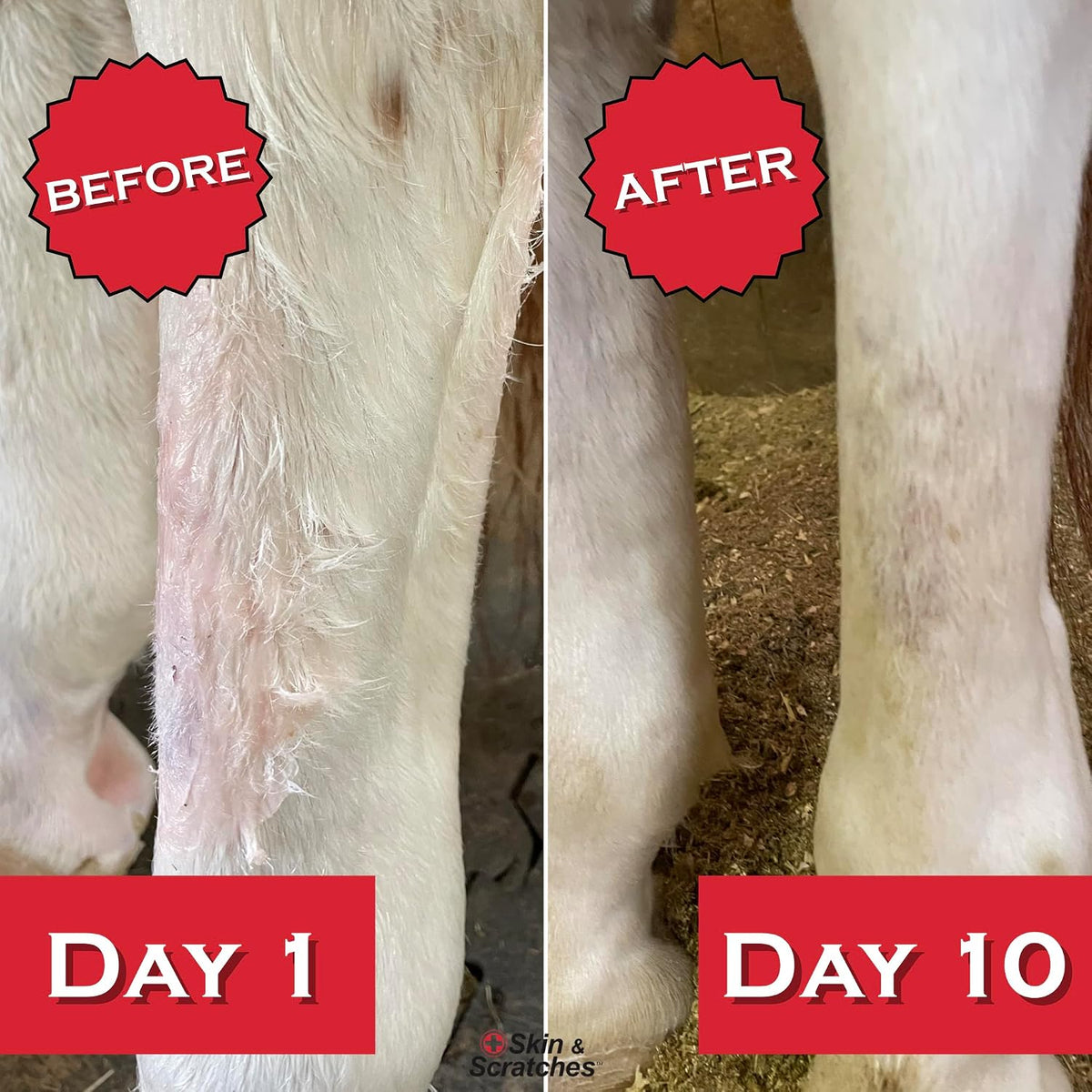 Horse owner using Show Out spray on equine leg