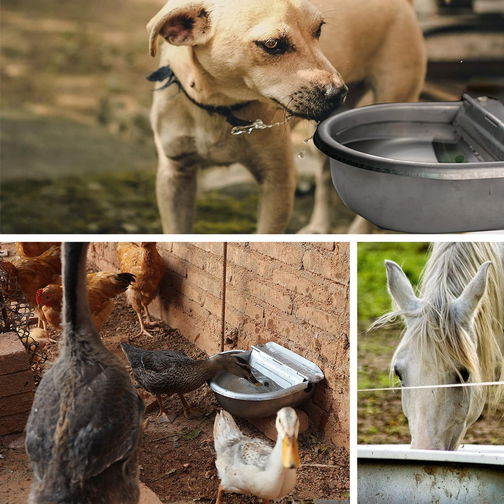 Heavy duty stainless steel automatic animal drinking bowl wall mounted view