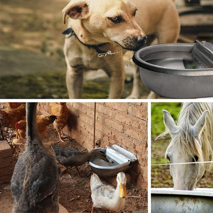 Heavy duty stainless steel automatic animal drinking bowl wall mounted view