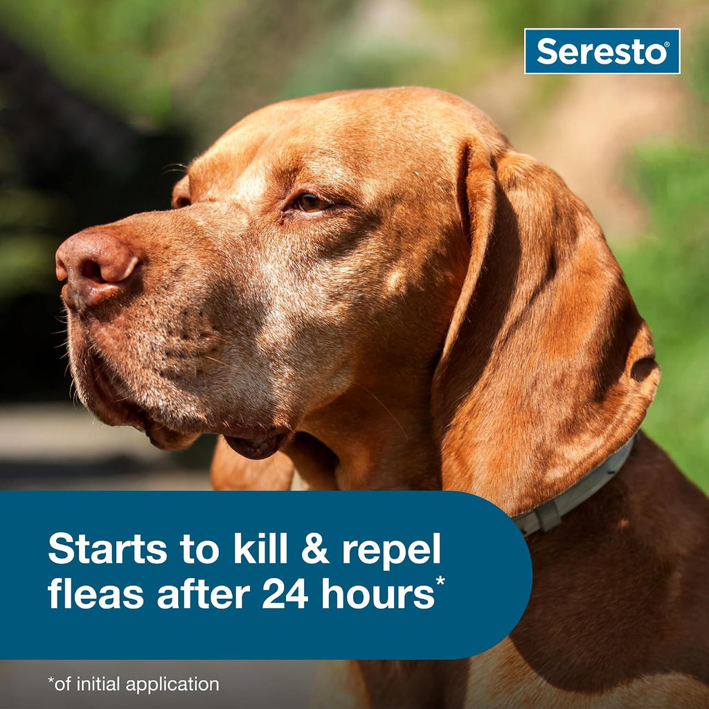 Seresto collar for large dogs ingredients and usage info