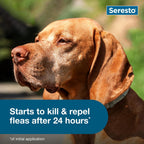 Authentic Bayer Seresto flea and tick prevention kit packaging