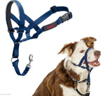Side view of adjustable Halti canine head collar on medium breed profile