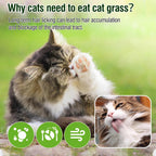 Breakable freeze dried cat grass reward pieces close up