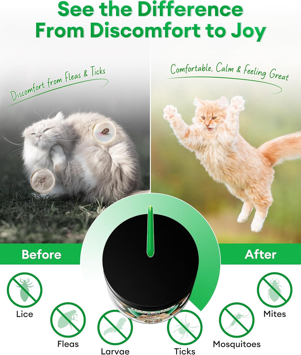 Pawaura cat flea and tick chews container