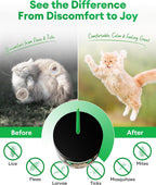 Pawaura cat flea and tick chews container