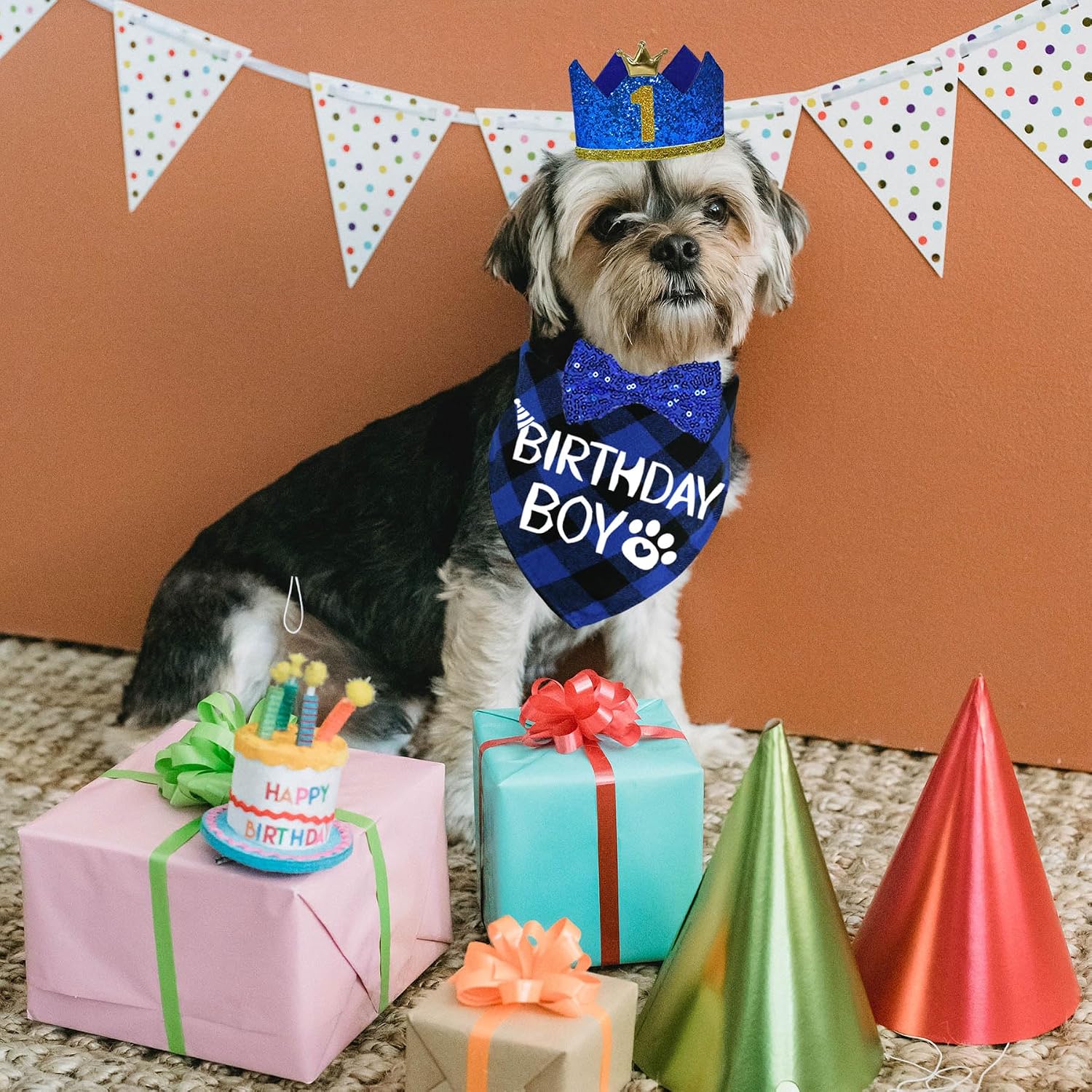 Durable pressure resistant dog crown hat and cotton bandana party package.