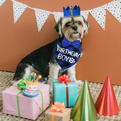 Durable pressure resistant dog crown hat and cotton bandana party package.