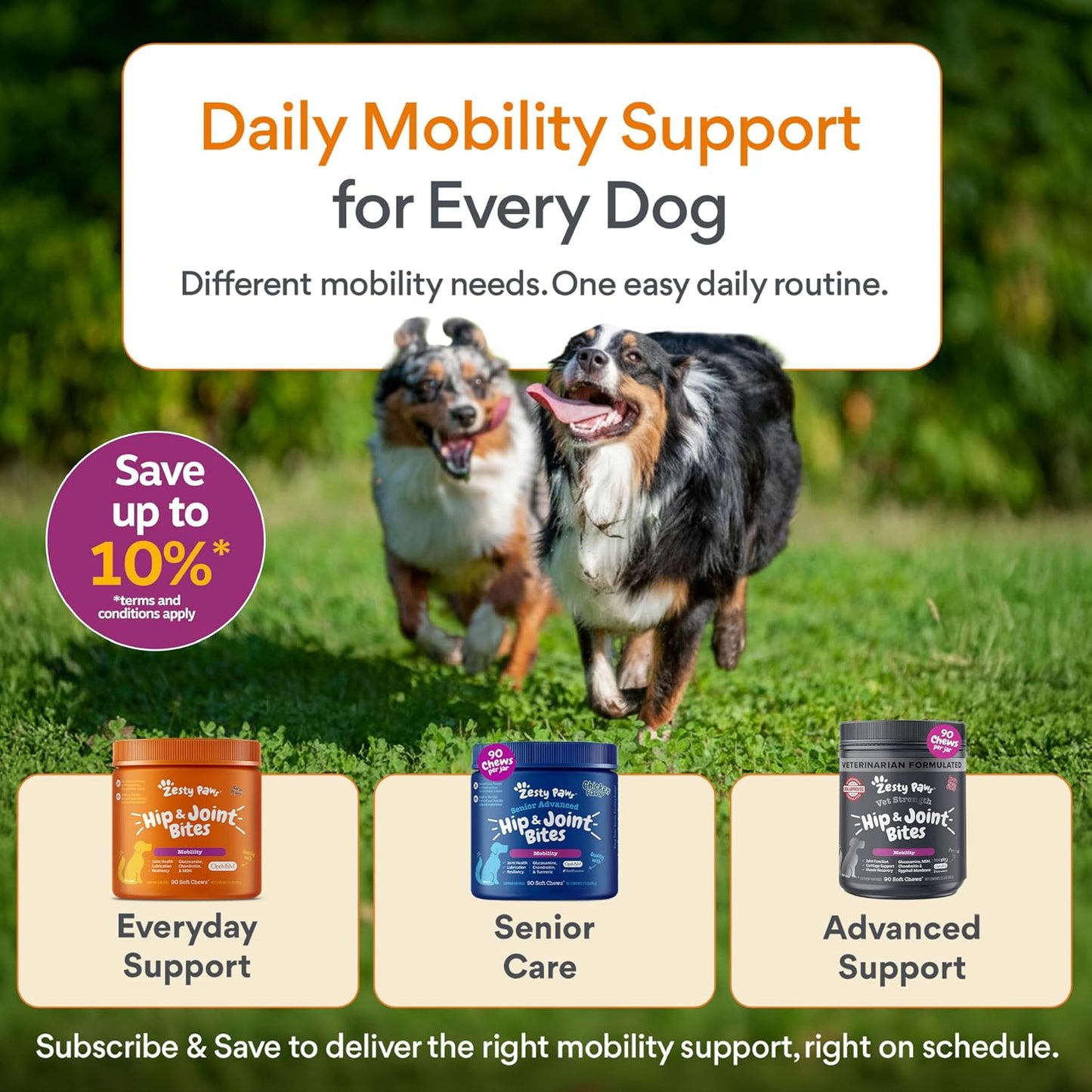 Zesty Paws Hip and Joint for Dogs, Glucosamine for Dogs Hip and Joint Supplement with Chondroitin, MSM, Vitamins C & E - Bacon, 90 Count - Image 9