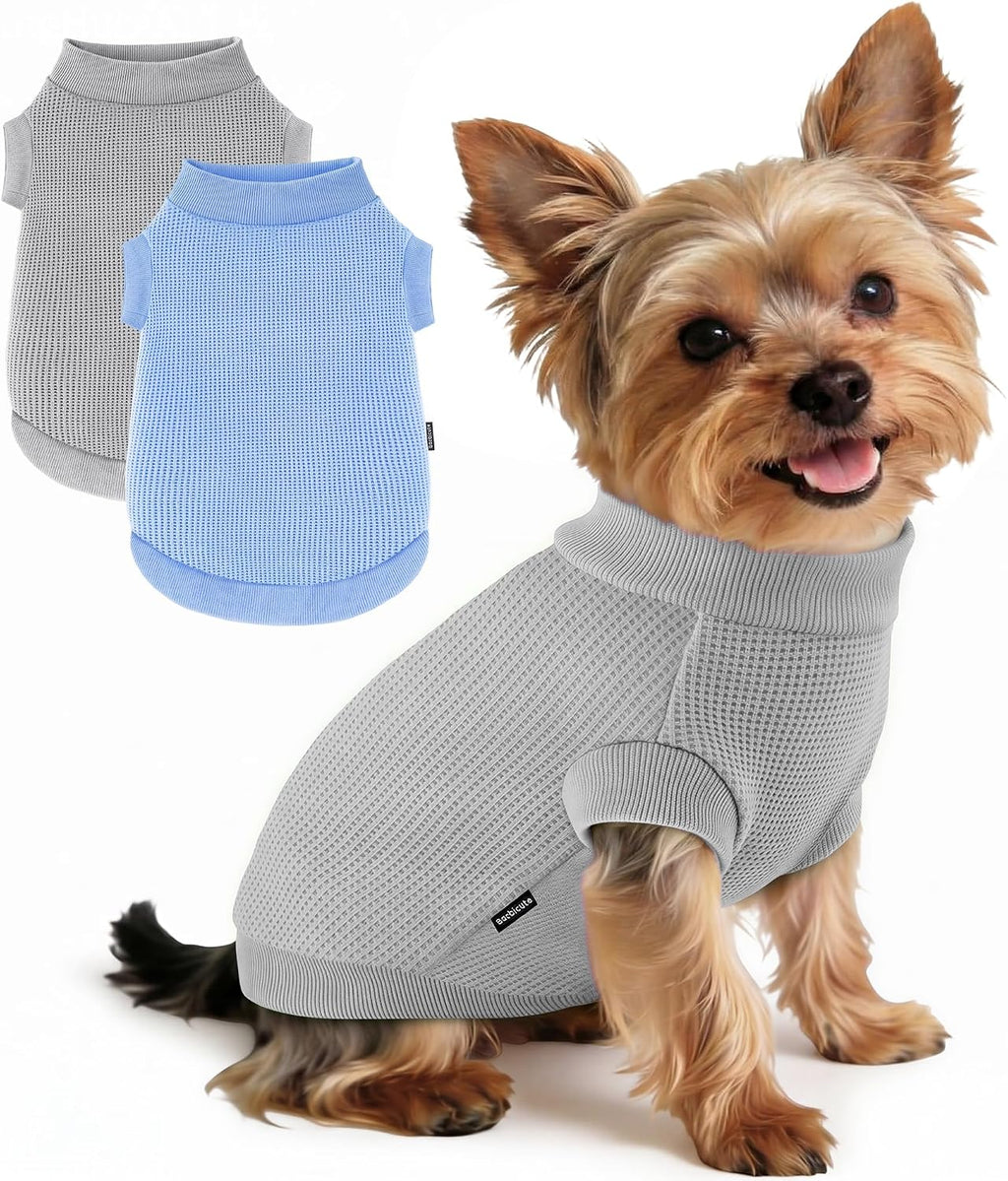 Small pet dressed in warm winter dog outfit