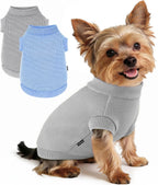 Small pet dressed in warm winter dog outfit