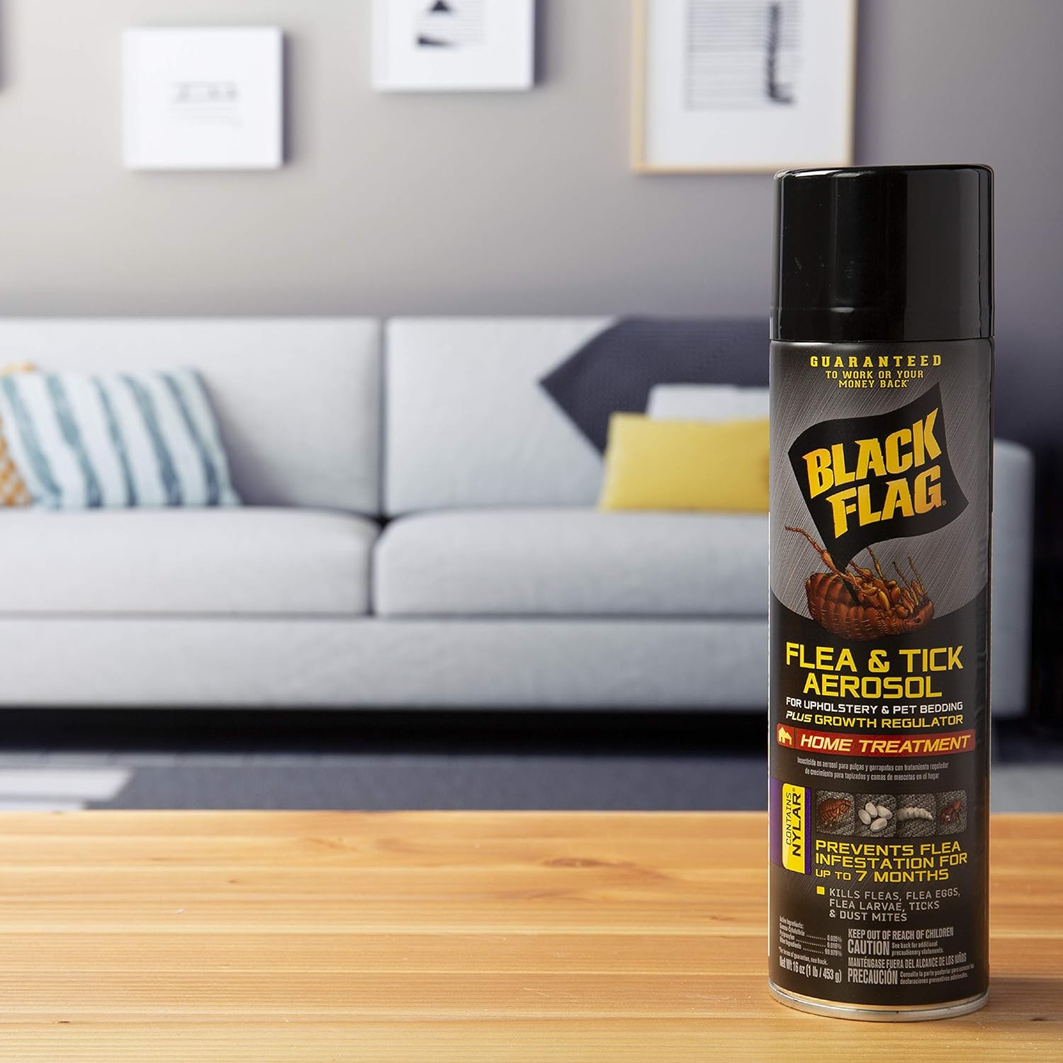 Authentic Black Flag pest control spray for home use