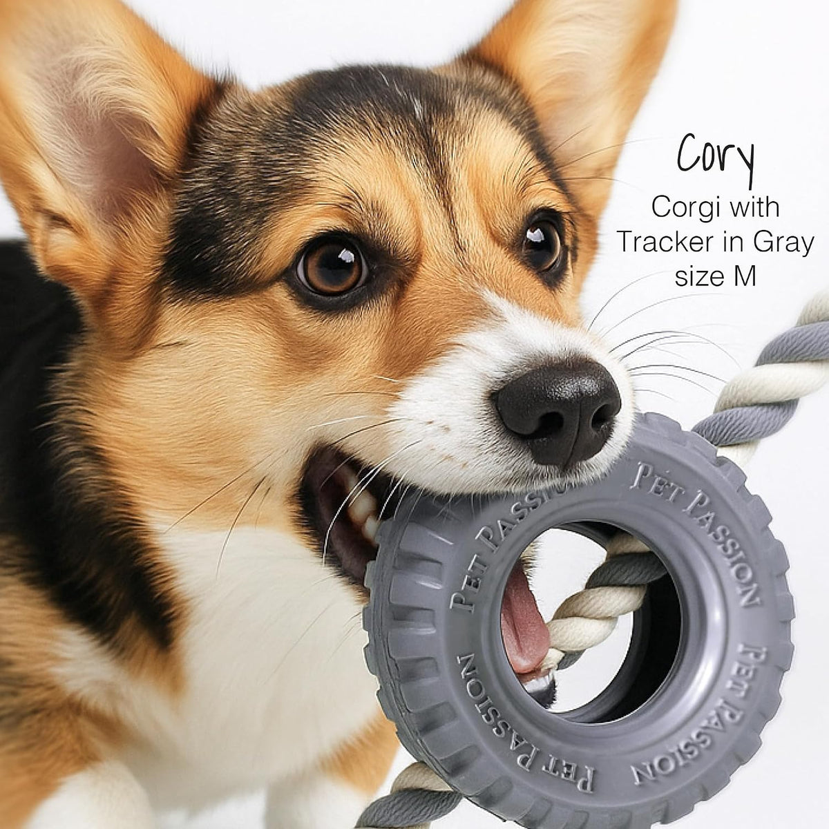 Premium imported USA dog chew toy for dental health