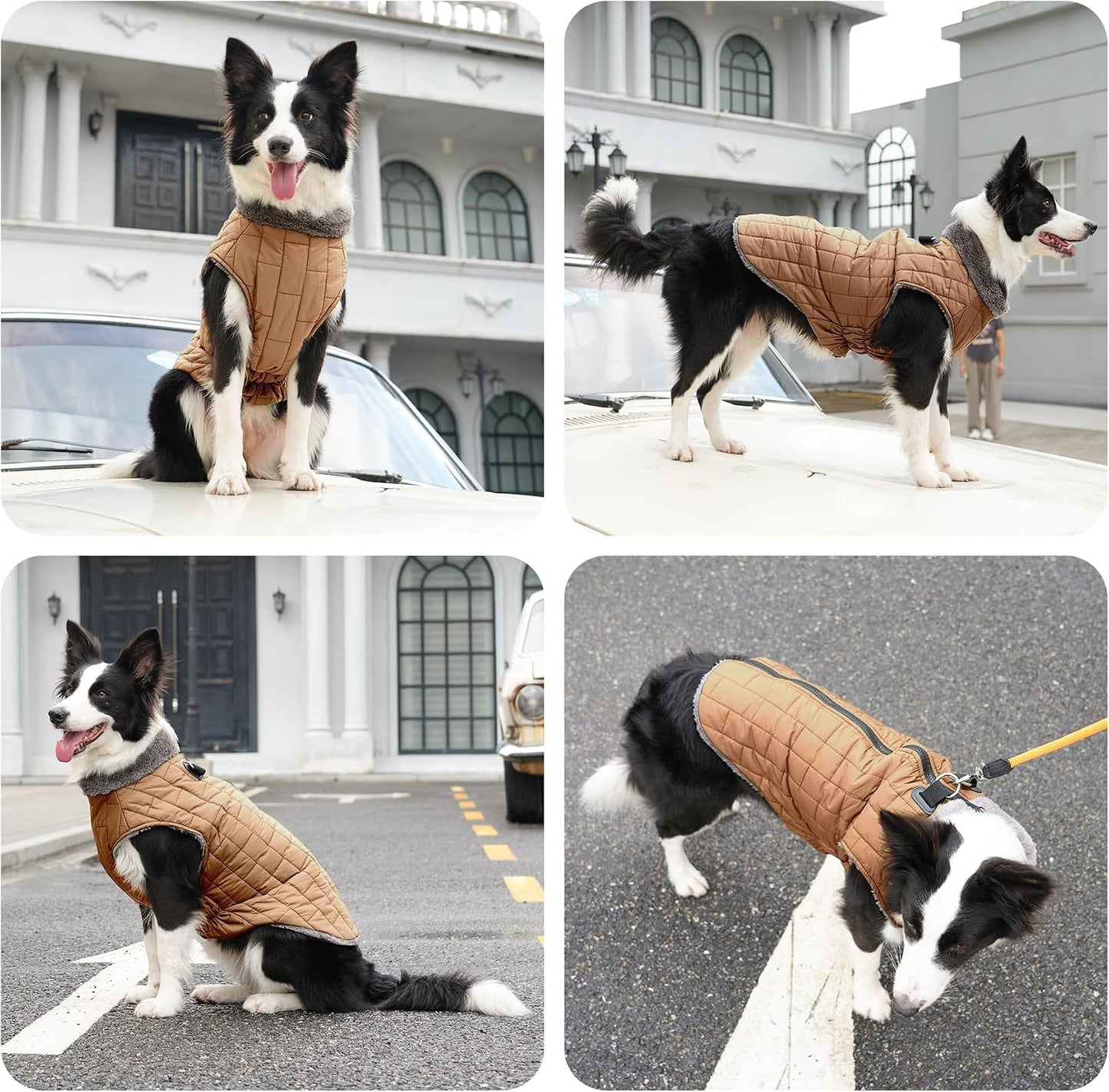JoyDaog fleece lined pet coat showcasing the stylish gray collar detail
