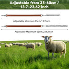 Two pack livestock neck bands with brass grazing bells for sheep and farm management