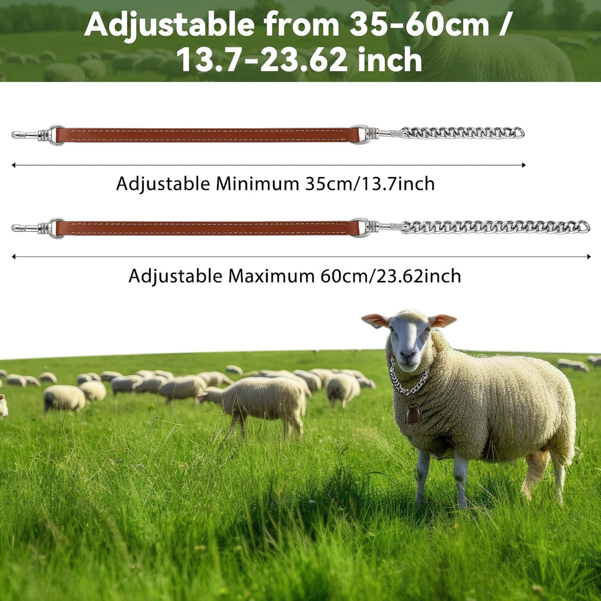 Two pack livestock neck bands with brass grazing bells for sheep and farm management