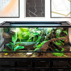 Polished curved reflector close up maximizing ultraviolet distribution for bearded dragons and tortoises.