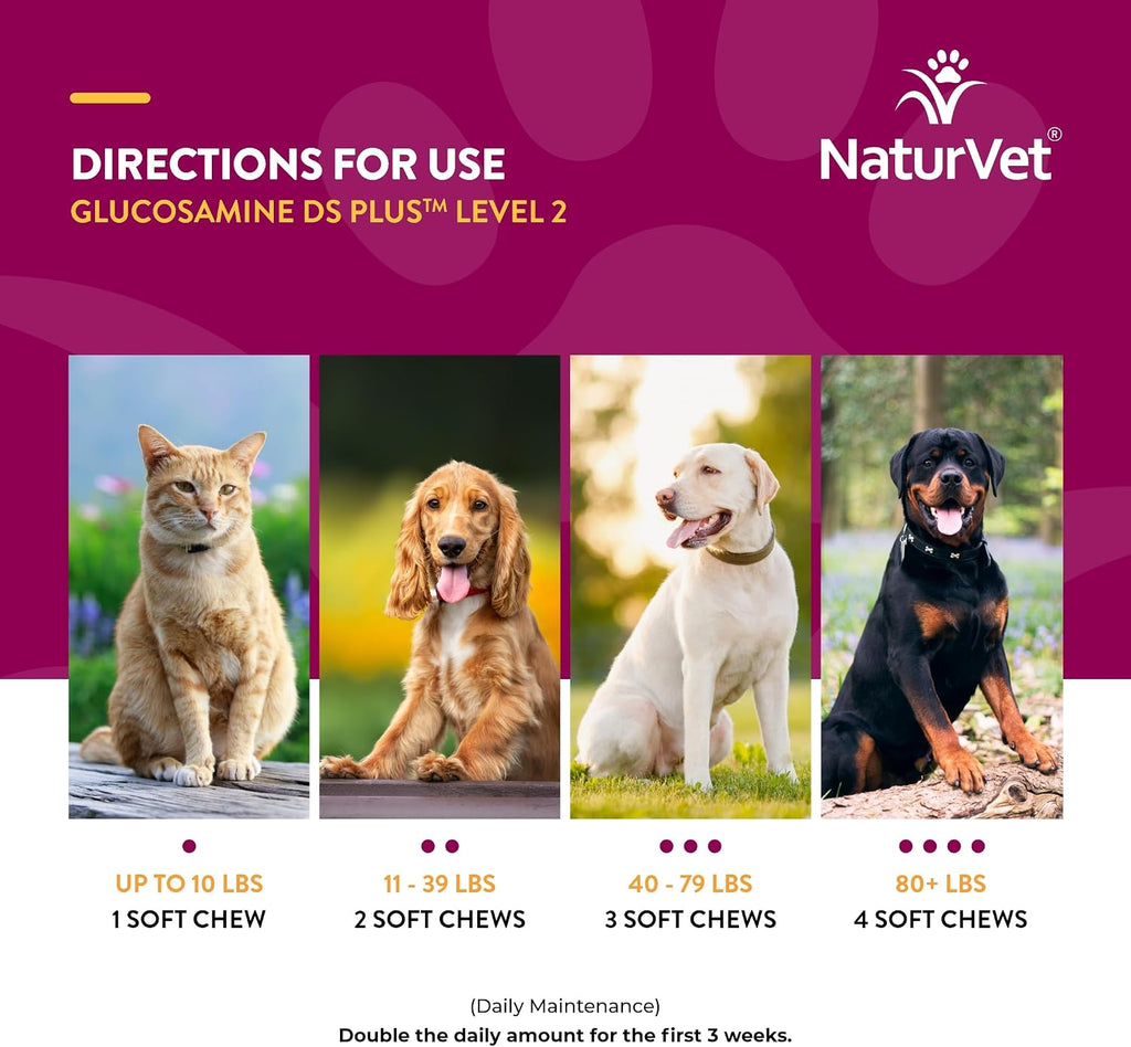 NaturVet Glucosamine MSM and Chondroitin soft chews showing packaging details