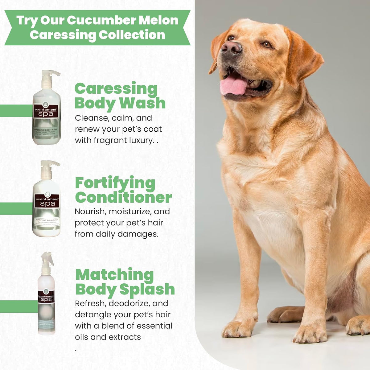 Best Shot pet grooming conditioner pump dispenser view