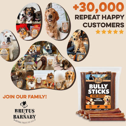 All natural healthy dental care treats for small and large dogs