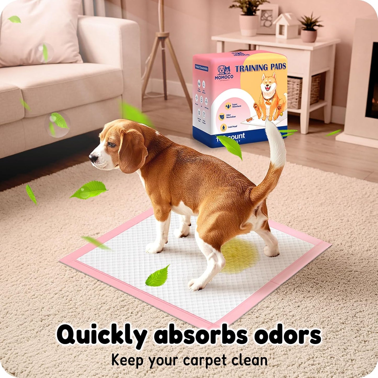 MoMoCo imported puppy pads pack for small dogs in apartment.
