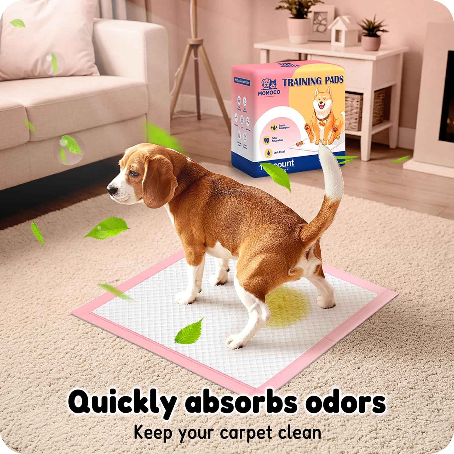 MoMoCo imported puppy pads pack for small dogs in apartment.