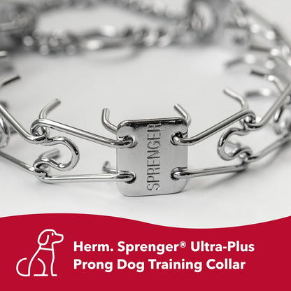 Blunt-ended prongs detail of the heavy-duty no-pull dog training collar.