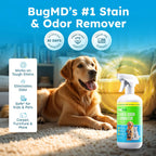 Safe pet stain eliminator spray bottle for Indian households