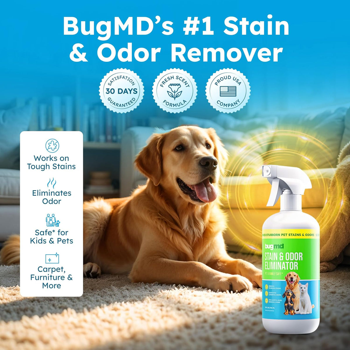 Safe pet stain eliminator spray bottle for Indian households
