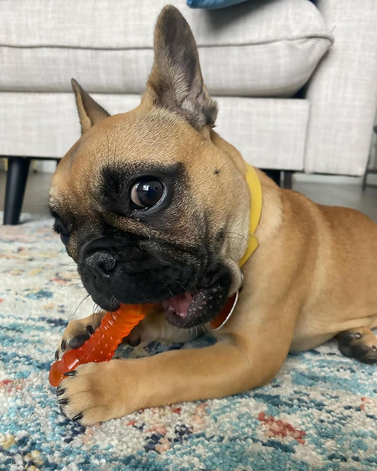 Nylabone freezer bone size reference for small puppies