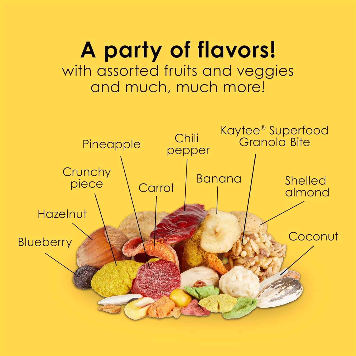 Close up of nuts and seeds in Kaytee Fiesta Macaw diet