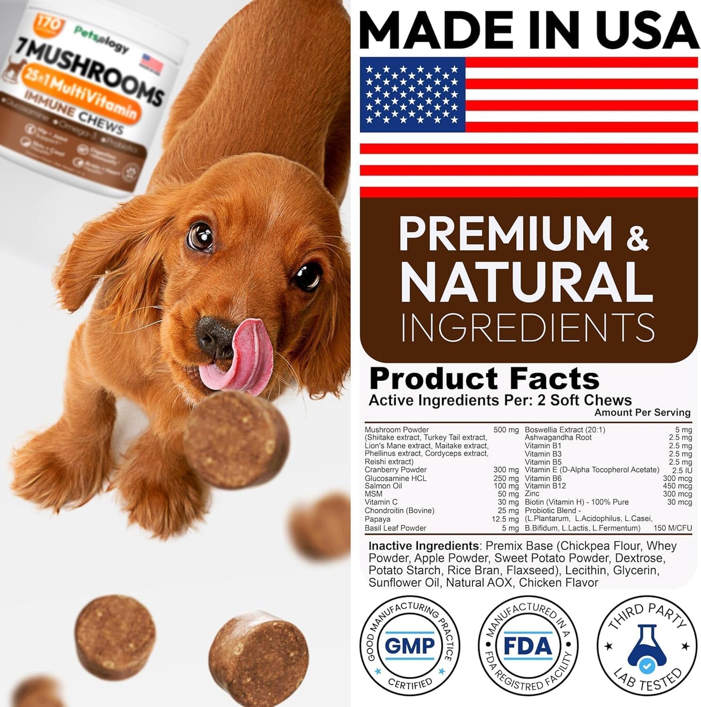 Petsology Turkey Tail mushroom for dogs illustration highlighting joint health and skin immunity benefits.