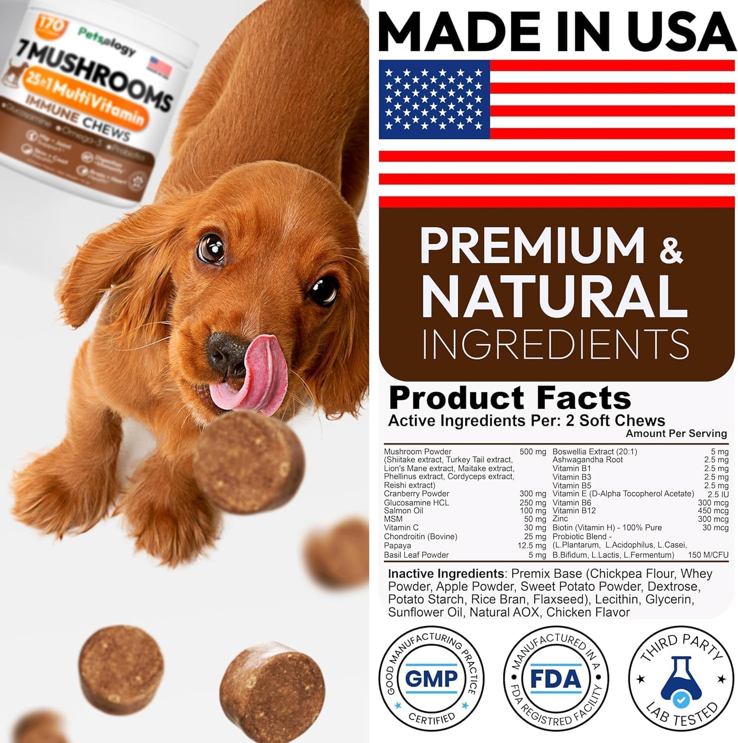 Petsology Turkey Tail mushroom for dogs illustration highlighting joint health and skin immunity benefits.