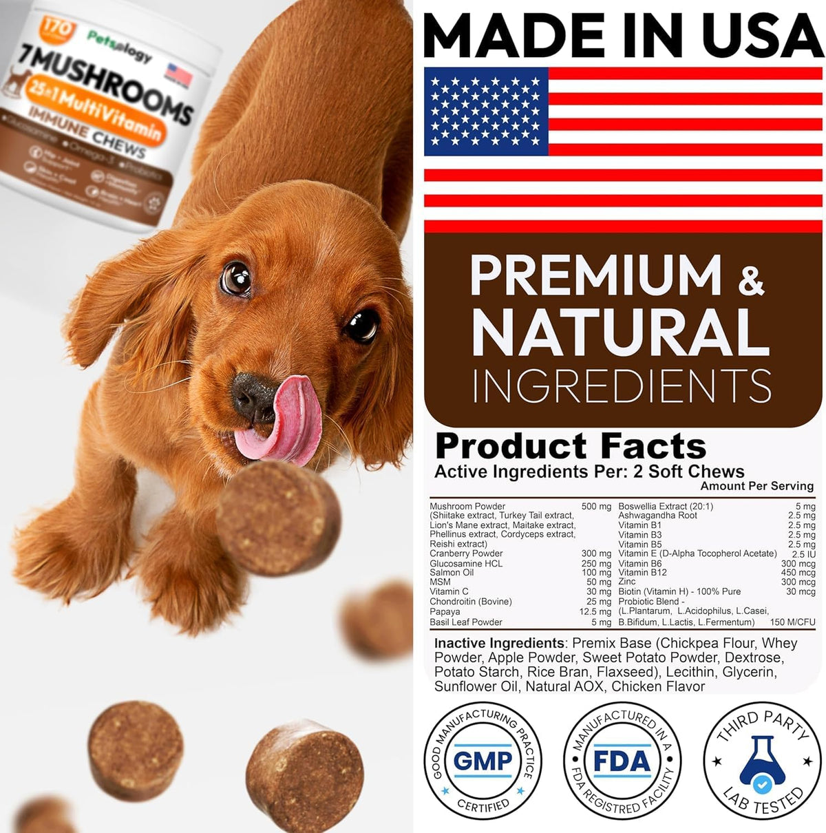 Petsology Turkey Tail mushroom for dogs illustration highlighting joint health and skin immunity benefits.