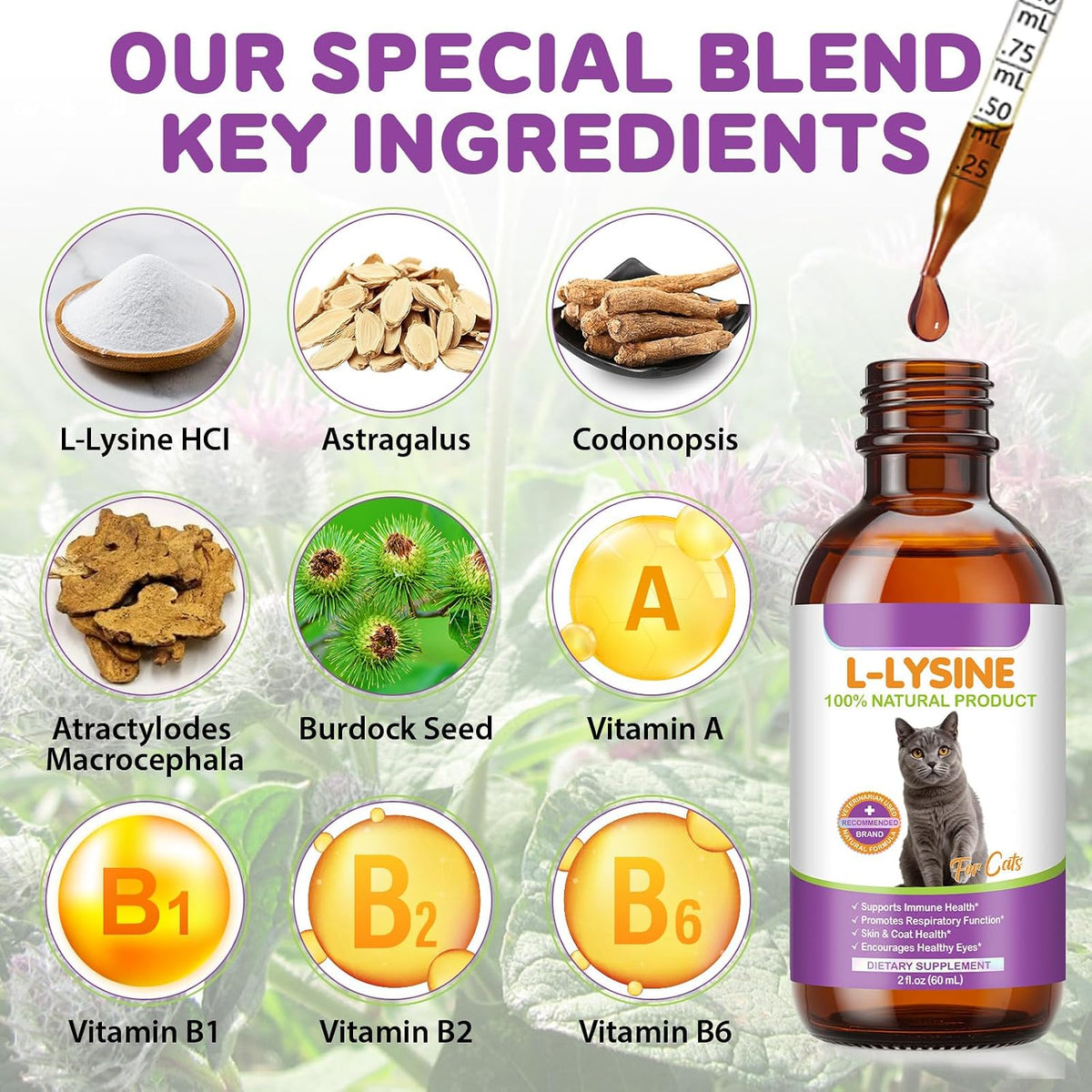 Feline immune support liquid supplement with chicken flavor