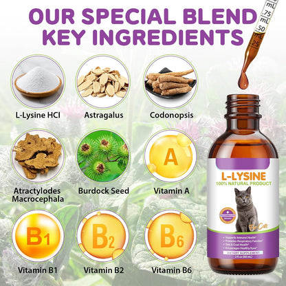 Feline immune support liquid supplement with chicken flavor