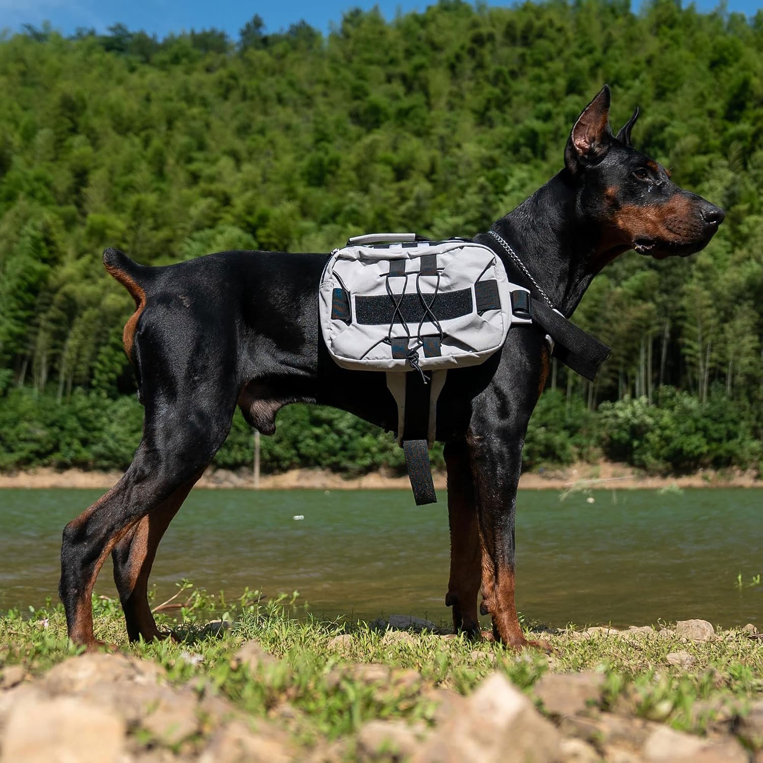 Lovelonglong outdoor dog saddle bag pack for travel and camping