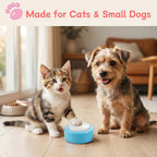 Rechargeable pet recording buttons for speech training showing Type-C USB port