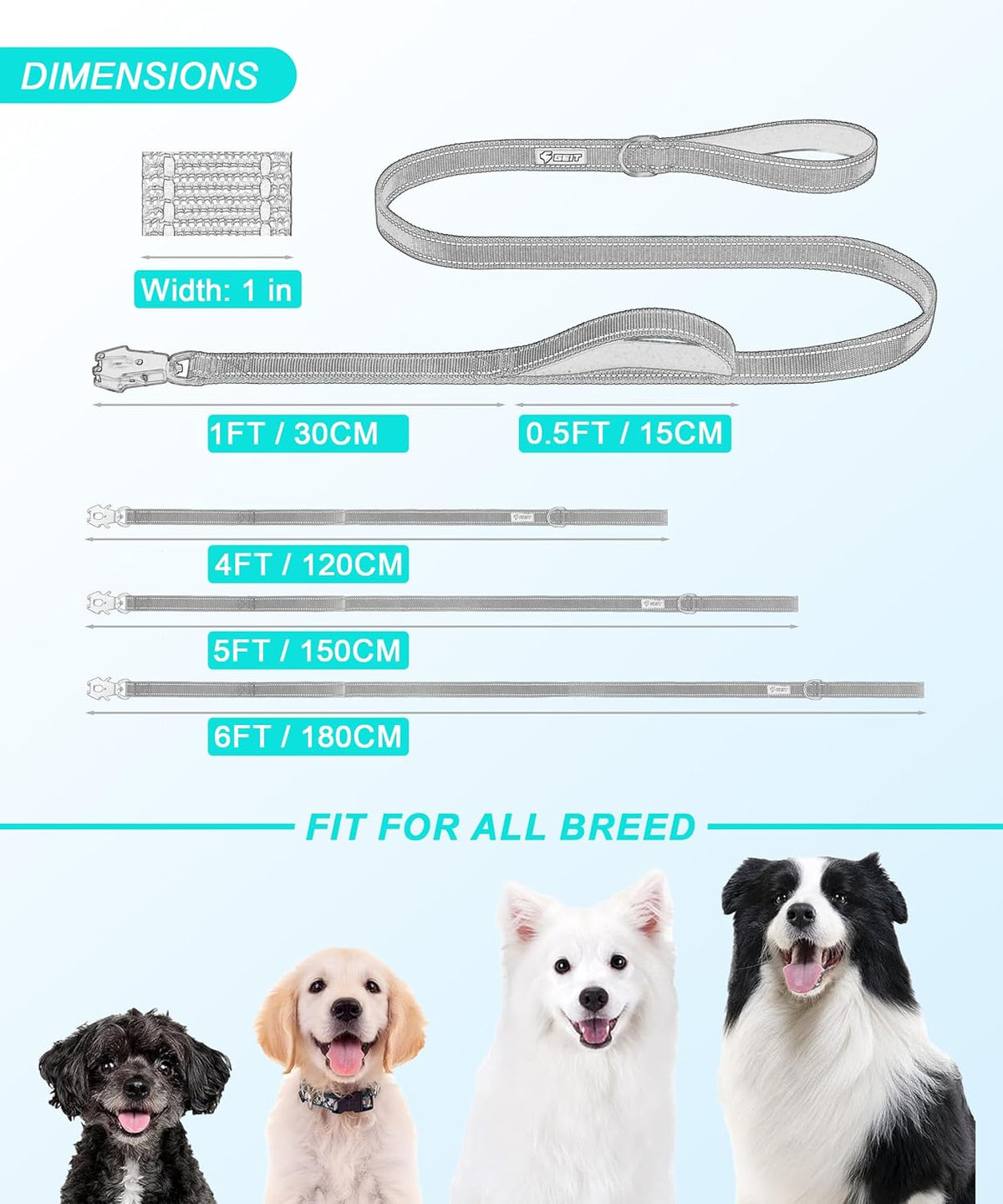 GEIT heavy duty pet leash being held by the soft neoprene padded comfort loop