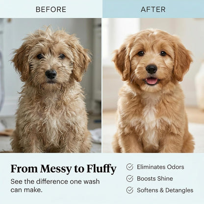 Pet Care Sciences 16 fluid ounce dog shampoo bottle on white background