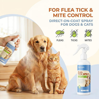 Dylan's Cabin pet skin care spray plant-based formula details label