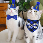Close up of cat birthday boy plaid bandana
